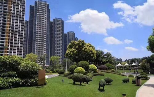 实拍园林景观，风景优美，蓝天白云。(图2)