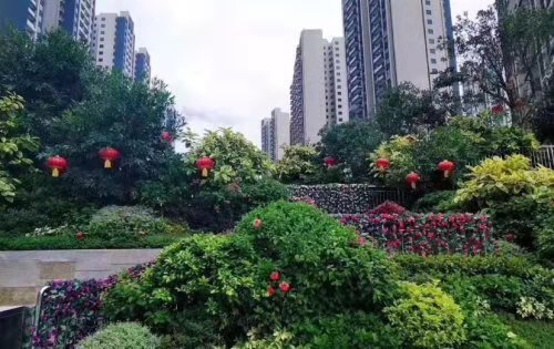 园区优美大气的园林设计，4A级红树林湿地公园在旁边，随时随地可感受大自然气息，观赏二级国家重点保护动(图2)