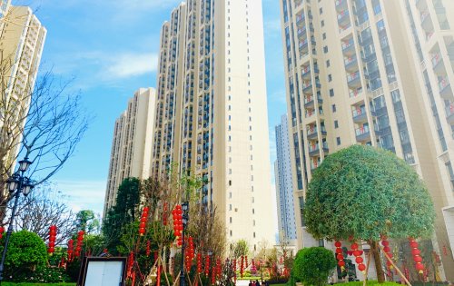 恭迎雅苑业主回家(图1)