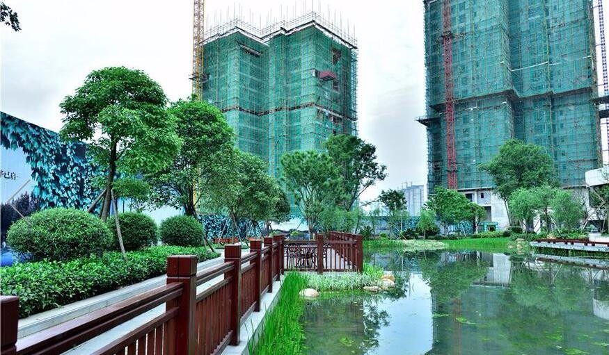 实景图