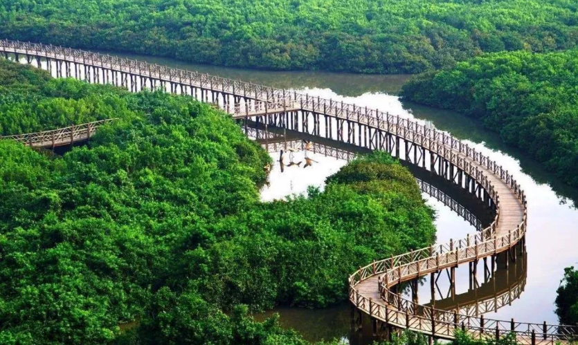 享受自然美景，拥有一个健康的度假村——富力红树湾(图5)