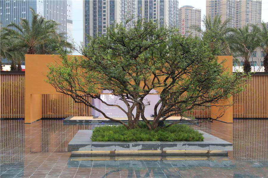 实景图