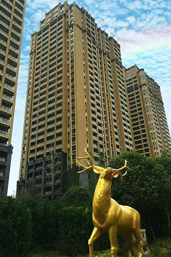 实景图